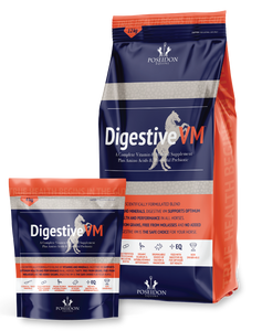Digestive VM 12 kg